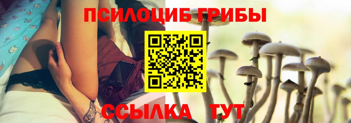 Галлюциногенные грибы мухоморы Шебекино
